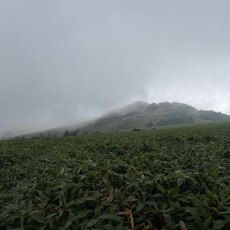 少しづつ雲が薄れてきました