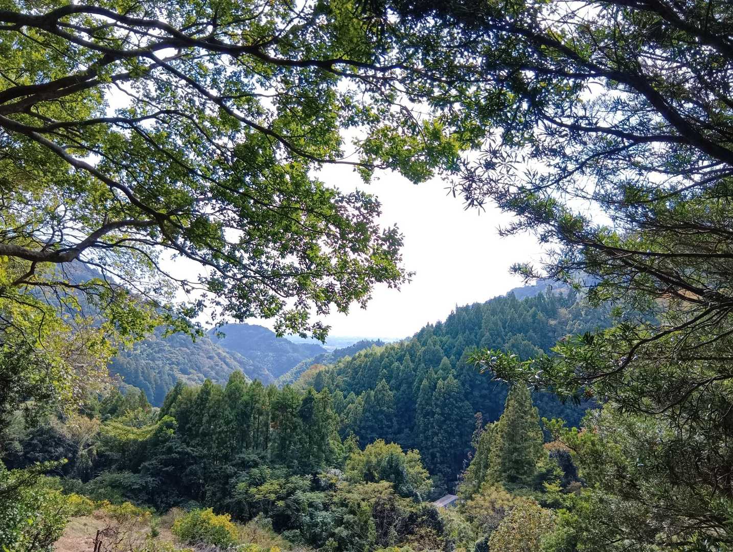 いい眺め〜

今日も無事に下山した〜