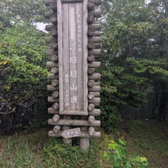 取りあえず護摩壇山