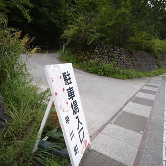 ﾃｸﾃｸ((´∀`)~♪