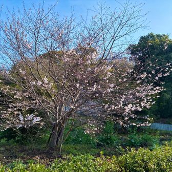 北条神社前⛩️