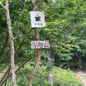 こちらが山頂。
