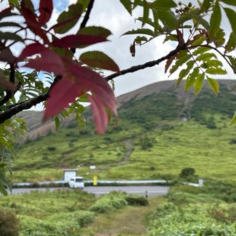 ナナカマドの紅葉🍁と登山口駐車場🅿️