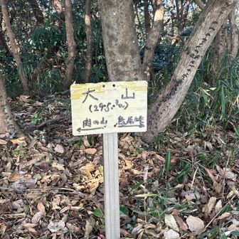 大山山頂