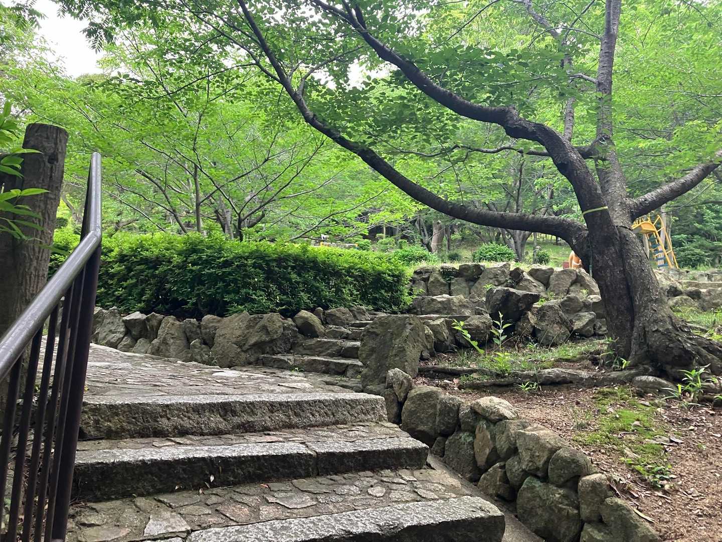 右の階段を登って行っても、王道ルートに繋がる道あり