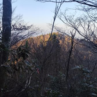 きれーな朝焼け