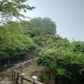雨の中の登山道