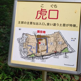 このような案内があちこちにあって勉強になります📝