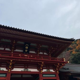 鶴ヶ丘八幡宮到着🙌