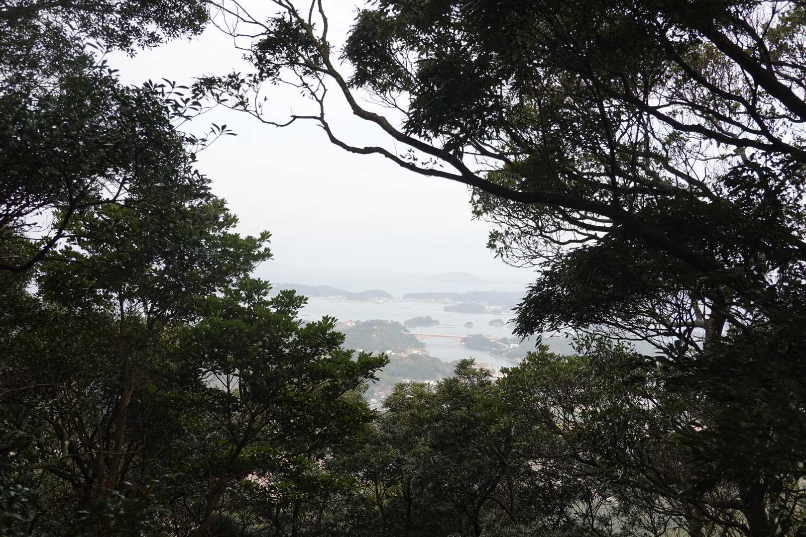 樹間から時折展望が見えます