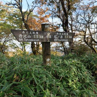 日高の山頂標識