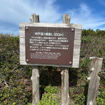 なるほど