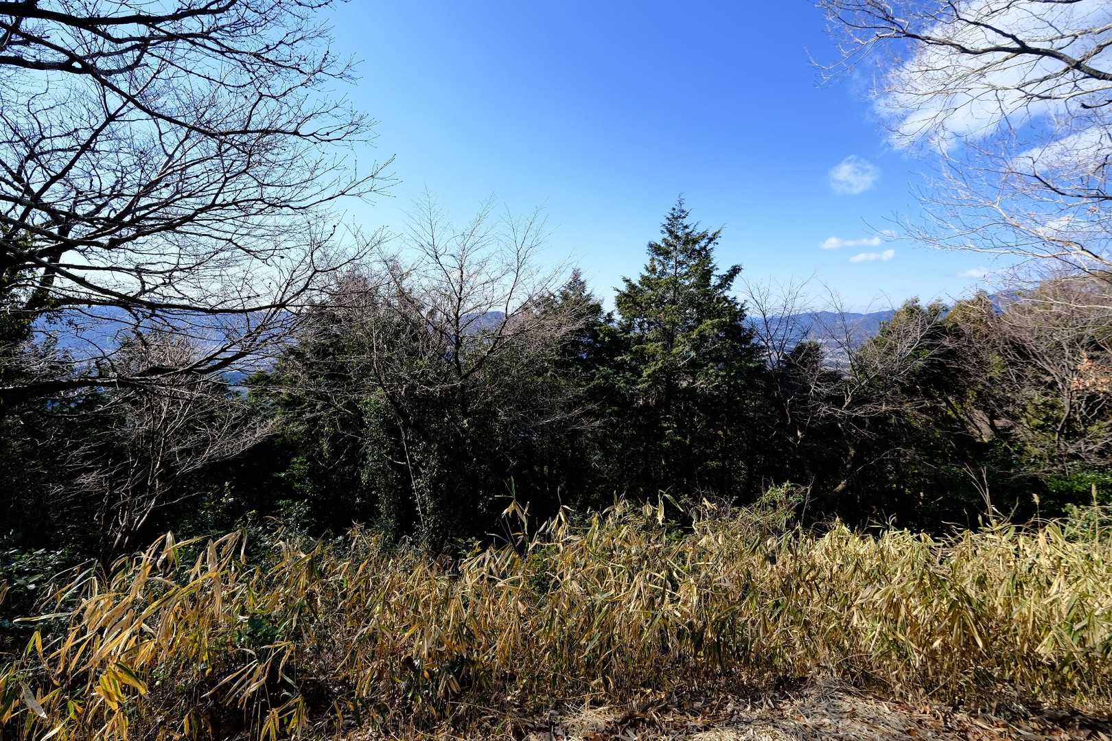 風切山 往復コースの写真