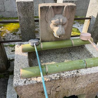 手水舎からめちゃくちゃ睨まれる🦊🤣