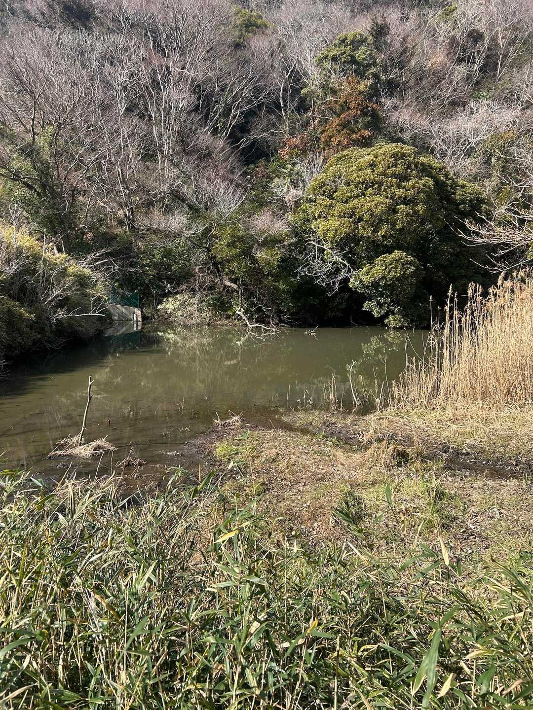 芦名堰　芦名バス停から逗子駅に🚌
本数が多いので助かります　
暖かい三浦半島で心も体もほっこりしました