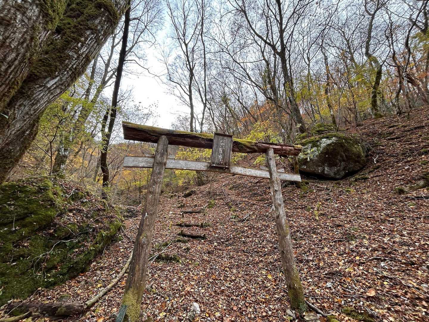 ⛩️🙏
無事下山できました