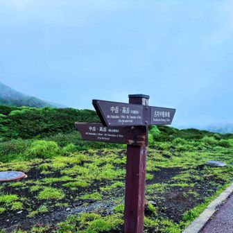 木道経由は閉鎖中のため、皿山経由で
砂千里の木道、歩いてみたかった😭