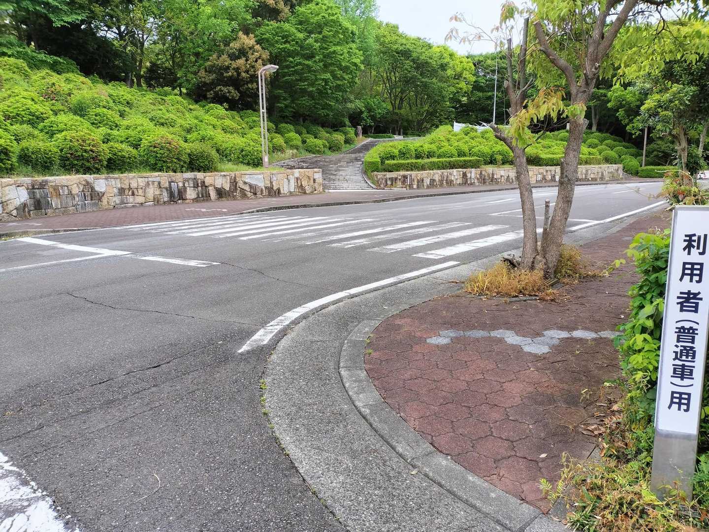 では！スタートです🎉少し雨が止んでラッキー！
YAMAPではこの低山もグレーでは無くて列記としたピークになってました🤩