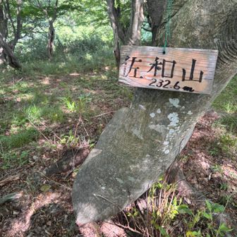 佐和山登頂