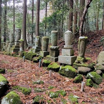 代々の住職様、建物は壊れてしまいましたが、長年お寺を守って来られたんですね。ありがとうございます。