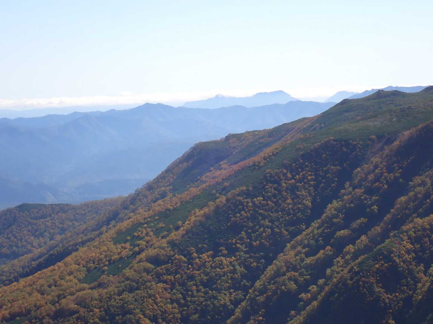 中腹の紅葉、良い