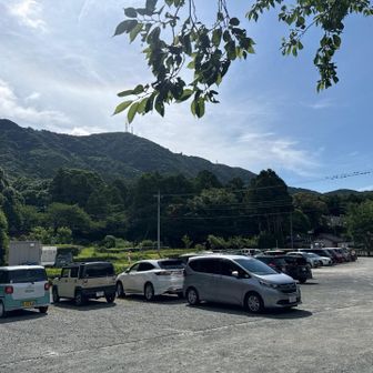 駐車場まで戻って来た。
汗ビッシャビシャなので着替えて、紫陽花撮りに行く。
