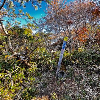 白笹山到着❣️ 
地味目ねー😅
