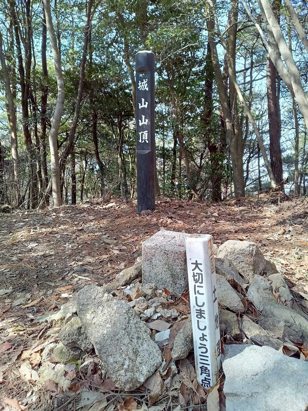 城山。ここまでアップダウンが繰り返しありタフなコース。ここから先はいくぶん楽になる.