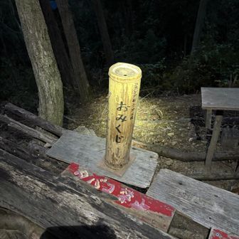 以前山頂にあったおみくじ、ここに来てたのか