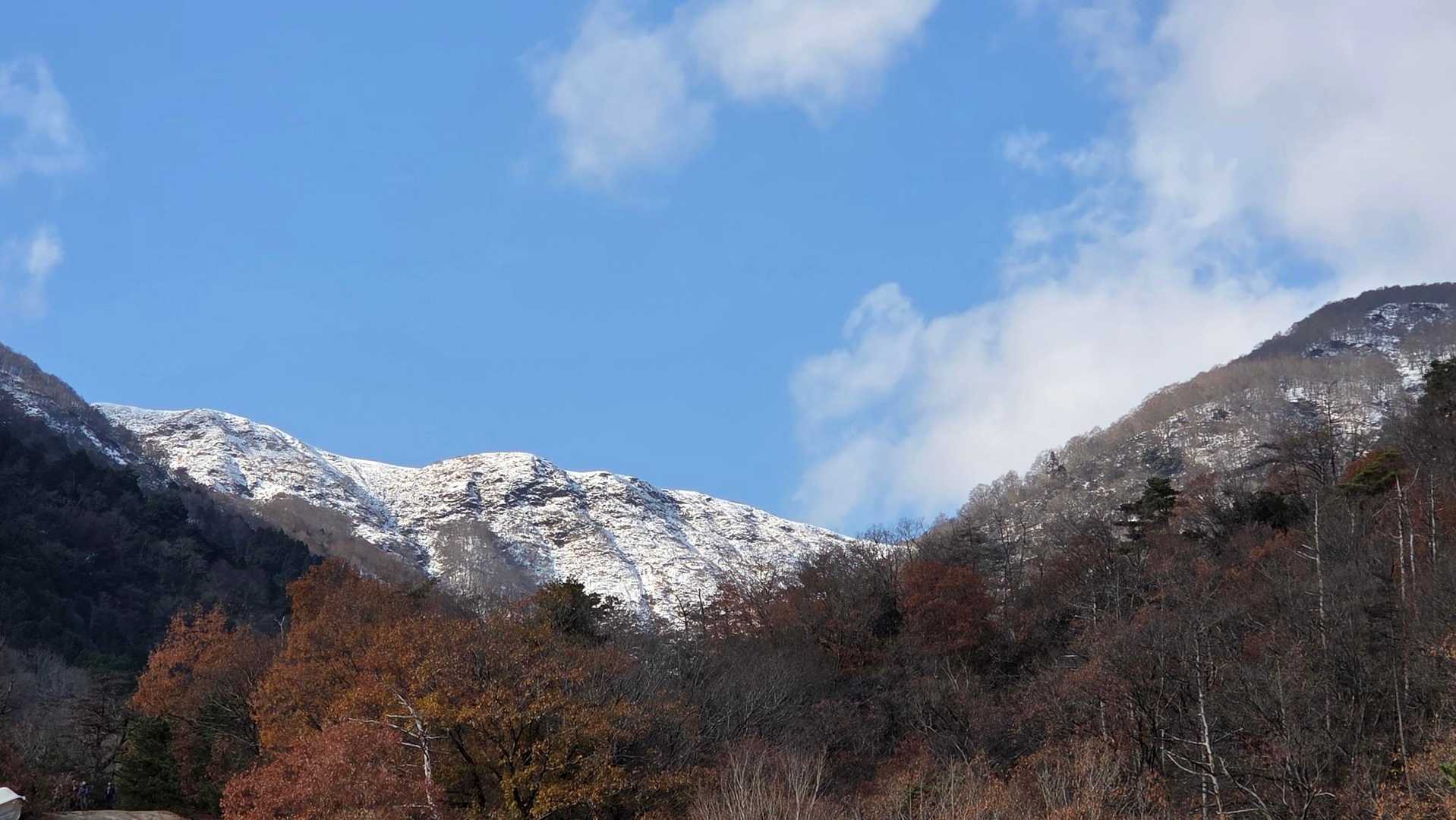 赤坂山はフルシーズン楽しめるわー
