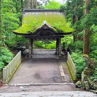 奥宮の山門まで戻ってきました
ジャパン・ビューティーですなっ❣️