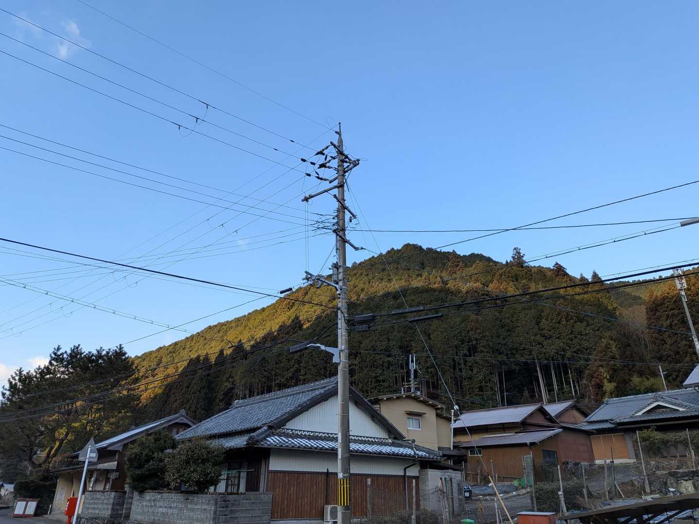 天好園の駐車場は9割停まっていました