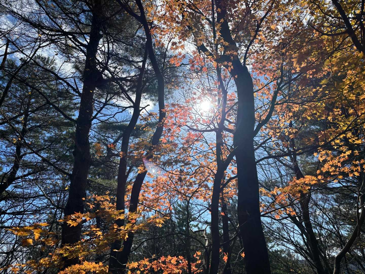風もなく天気良い🙆