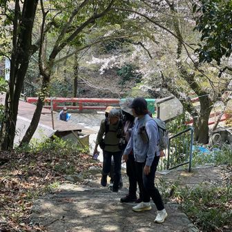 今日は
おしゃべり＞山歩き
🤭