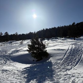 麦草ヒュッテから