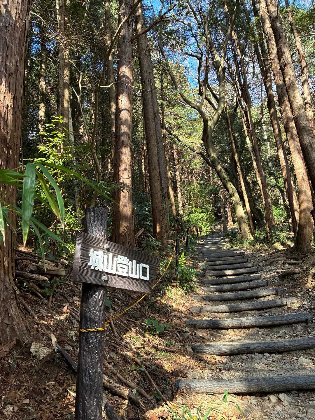 赤間登山口-城山-石峠-金山南岳 往復コースの写真
