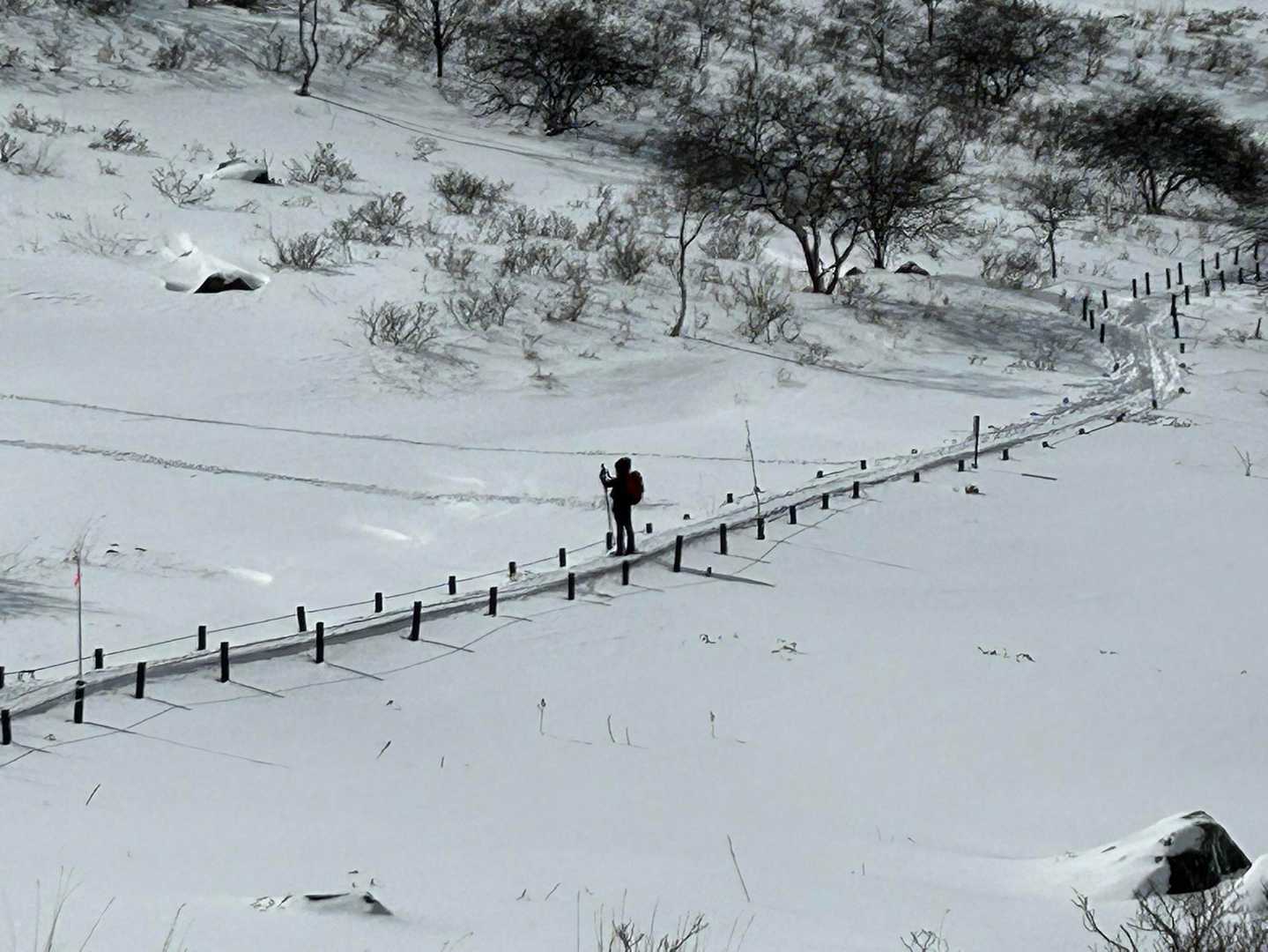 車山肩バス停-蝶々深山 往復コースの写真
