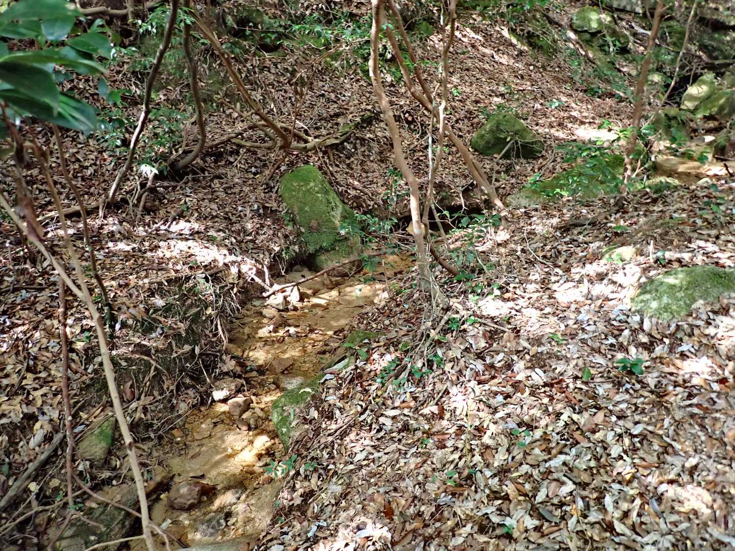 沢が細くなって、