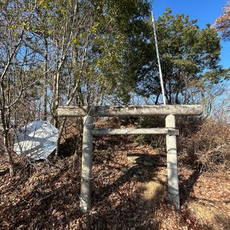 雷電山に登頂🙌