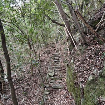 最後の方は少し急傾斜