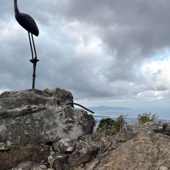 山頂の鶴と野間岳