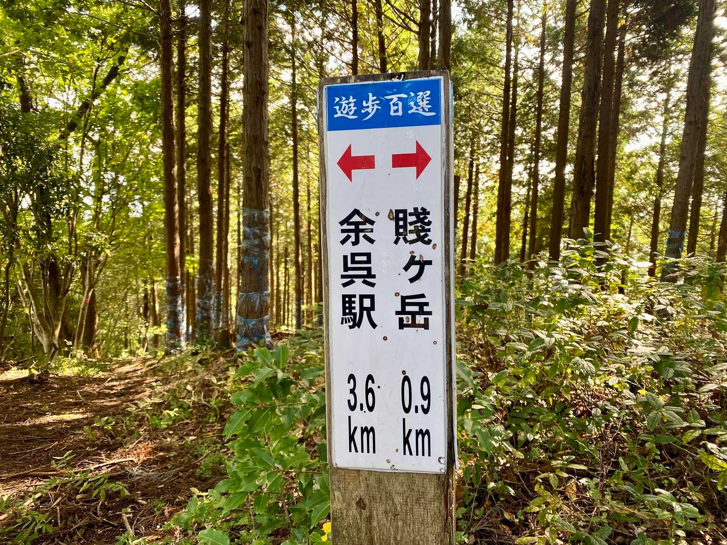 岩崎山-大岩山-賤ヶ岳-公法寺山-大平良山-権現峠-神明山 周回コースの写真