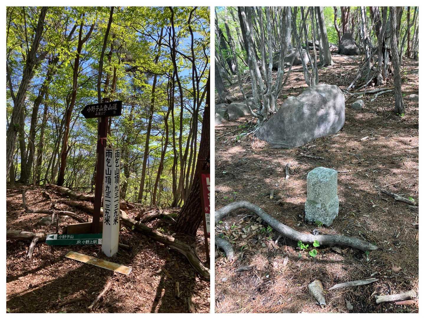 雨乞山山頂⛰、三等三角点