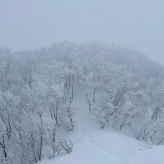 こんなコンディションでも優しく迎えてくれる五頭に感謝です🙏

おしまーい🙇