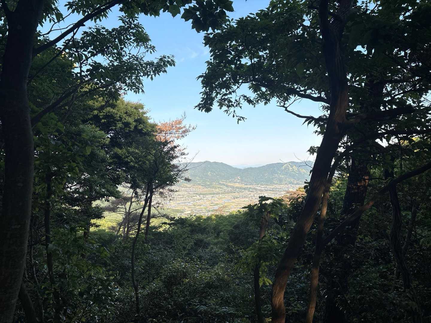 油山往復 | 福岡市街を見渡す定番ルートの写真