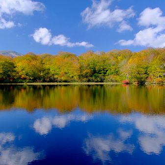 そして中沼。朝よりも光がまわり、紅葉もきれいに。順光なので青空もくっきり。