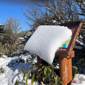 ズレた布団のように落ちそうで落ちない😂