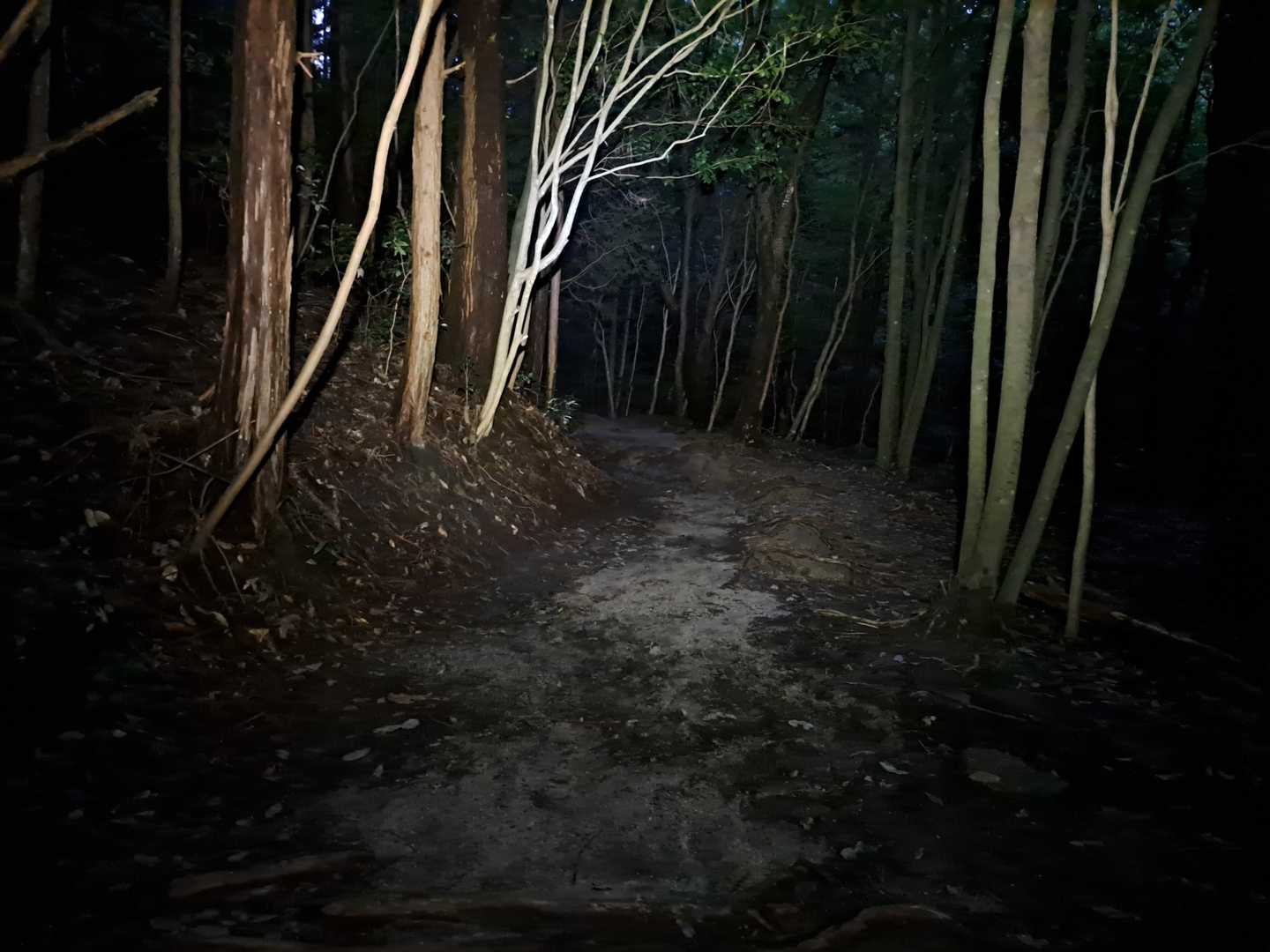 ここも同じく。つけてるけど😅
