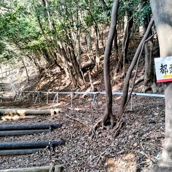 ほら無事、合流。
神社方面からなら工事中もOKだよって工事のお兄ちゃん🌻