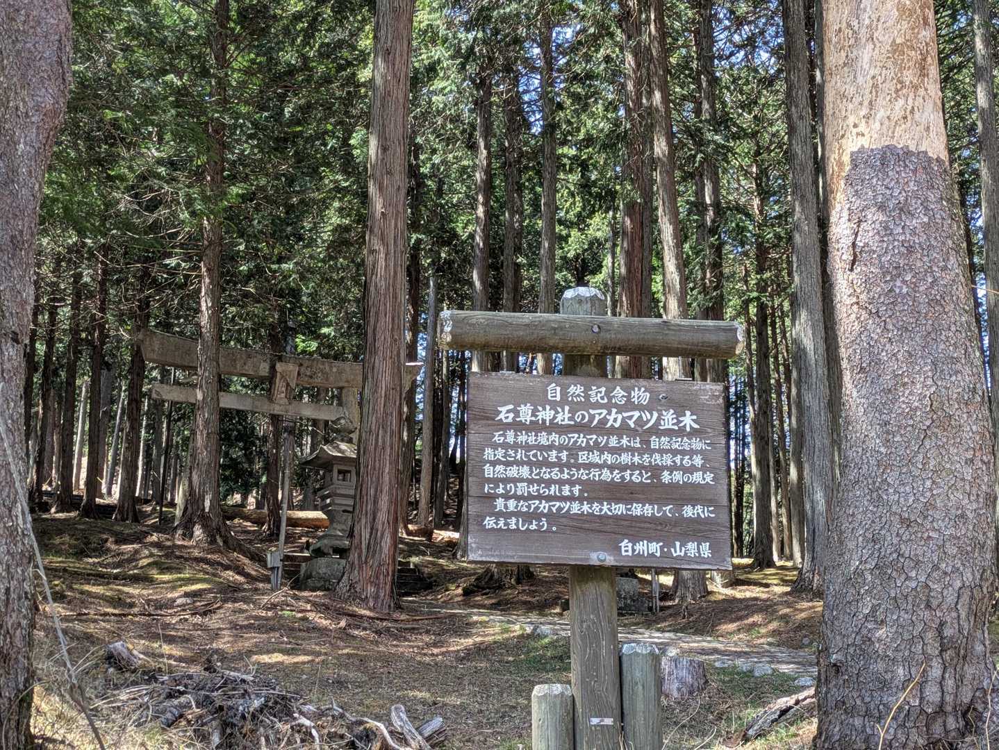 登山口にワープ
無事に下山🙌
びーさん、道中たくさん楽しいお話をして頂き、楽しい山行になりました✨🎉🎊
写真📸もありがとうございました🙇
またご一緒しましょう🤩
